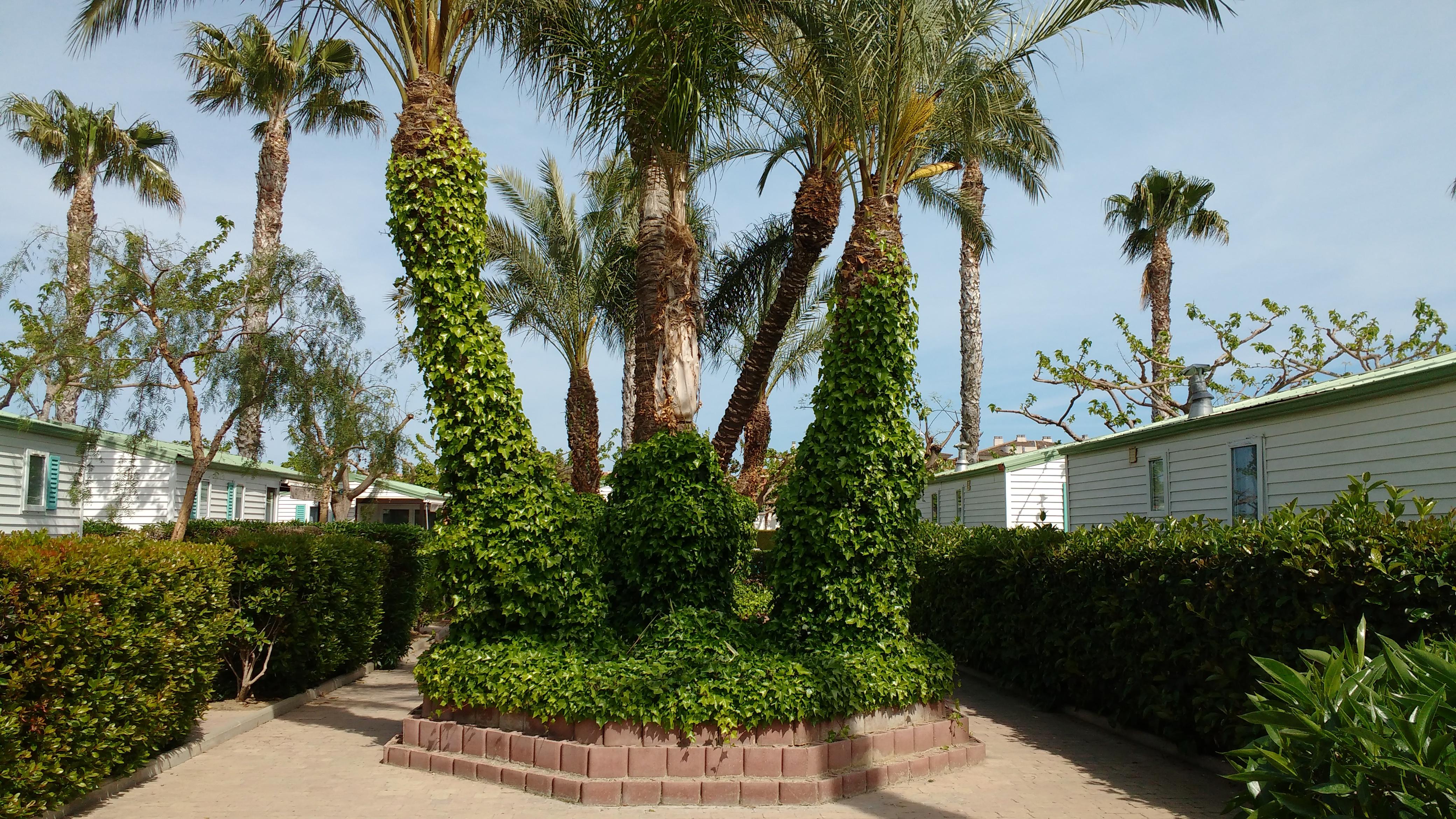 Parque de Campismo Platja 3*
